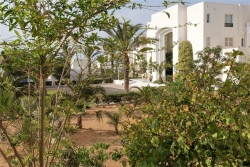 ���� ����� Al Jazira 4*