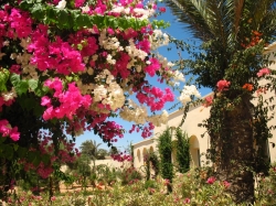���� ����� Iberostar Zephir 4*