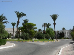 ���� ����� Iberostar Zephir 4*