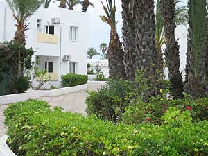 ���� ����� El Mouradi Club Selima 3*