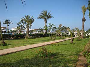 ���� ����� El Mouradi Palm Marina 5*