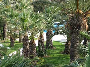 ���� ����� Marhaba Beach 4*