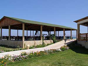 ���� ����� Skanes Palace Internationale 4*