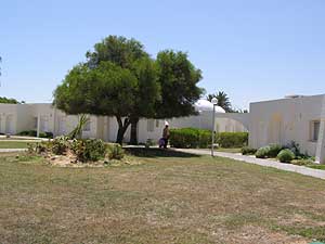 ���� ����� Thalassa Village Skanes 4*