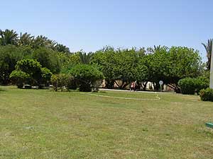 ���� ����� Thalassa Village Skanes 4*