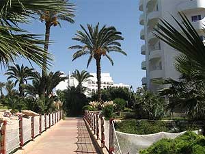 ���� ����� Sahara Beach 5*