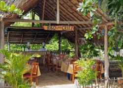 ���� ����� Tryp Cayo Coco 4*