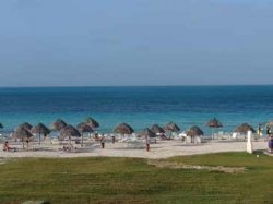 ���� ����� Oasis Playa Coco 4*