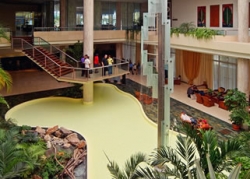 ���� ����� Tryp Habana Libre 5*