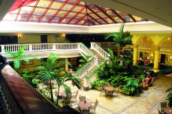 ���� ����� NH Parque Central 5*