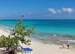 ���� ����� Paradisus Rio de Oro 5*