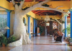 ���� ����� Paradisus Rio de Oro 5*