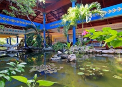 ���� ����� Paradisus Rio de Oro 5*