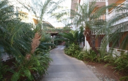 ���� ����� Sandals Royal Hicacos Resort & Spa 5*