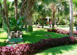 ���� ����� Sol Palmeras 4*