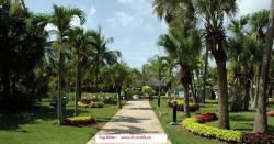 ���� ����� Sol Palmeras 4*