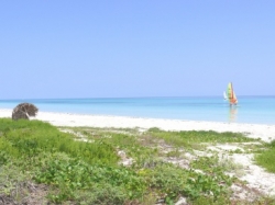 ���� ����� Sirenis La Salina Varadero Beach Resort 4*