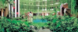 ���� ����� Melia Varadero 5*