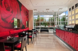 ���� ����� Hilton 5*