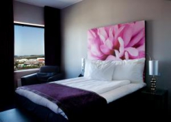 ���� ����� Clarion Hotel Bergen Airport 4*