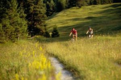 ���� ����� Dorint Sporthotel 4*