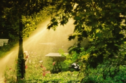 ���� ����� Radisson Blu Badischer Hof 4*