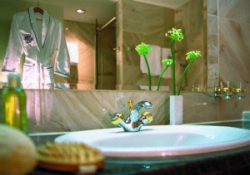 ���� ����� Palace Berlin 5*