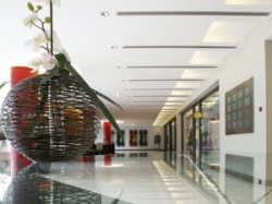 ���� ����� Dorint Pallas Wiesbaden 5*