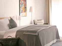 ���� ����� Dorint Pallas Wiesbaden 5*