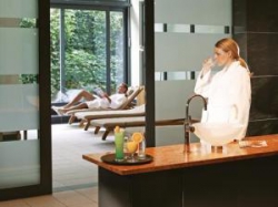 ���� ����� Dorint Pallas Wiesbaden 5*