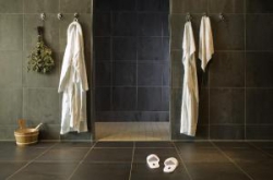 ���� ����� Pullman Dresden Newa 4*