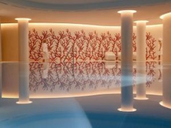 ���� ����� The Charles 5*