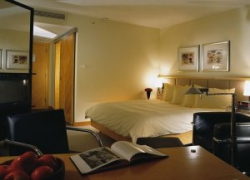 ���� ����� Hyatt Regency Mainz 5*